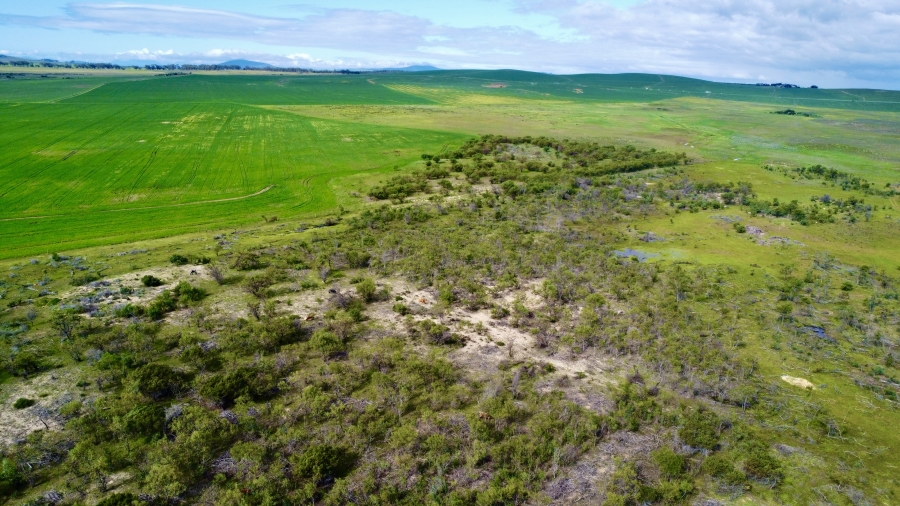 0 Bedroom Property for Sale in Cape Farms Western Cape